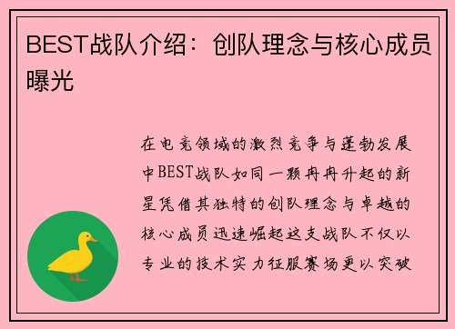 BEST战队介绍：创队理念与核心成员曝光